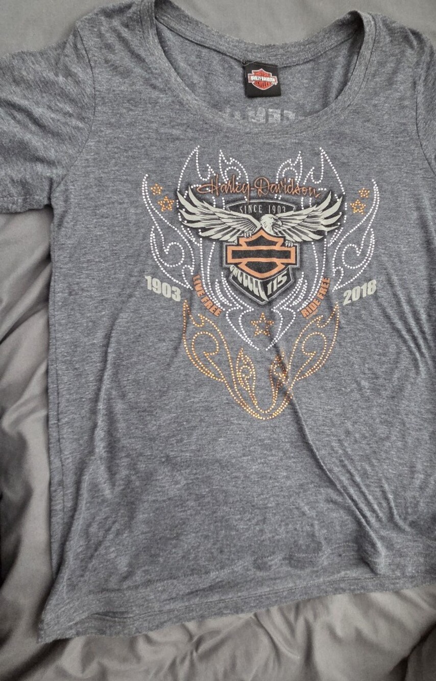 Harley-Davidson Gray Short Sleeve Tee with Orange and White Wing Graphic